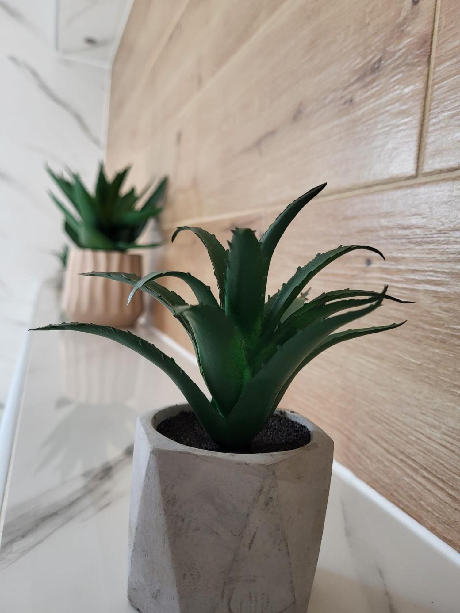 Apartment Dado Слунь Екстер'єр фото